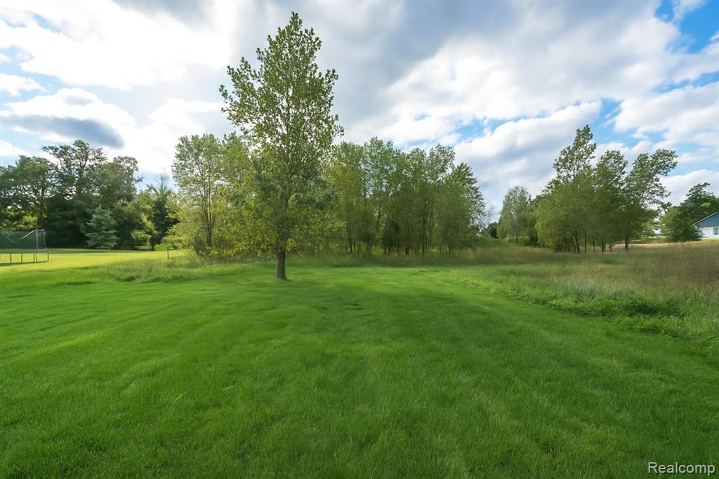 9758 Iosco Ridge Drive, Gregory, MI 48137 — Photo 27