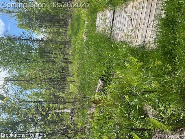 4148 Blue Vista Drive, Evart, MI 49631 — Photo 15