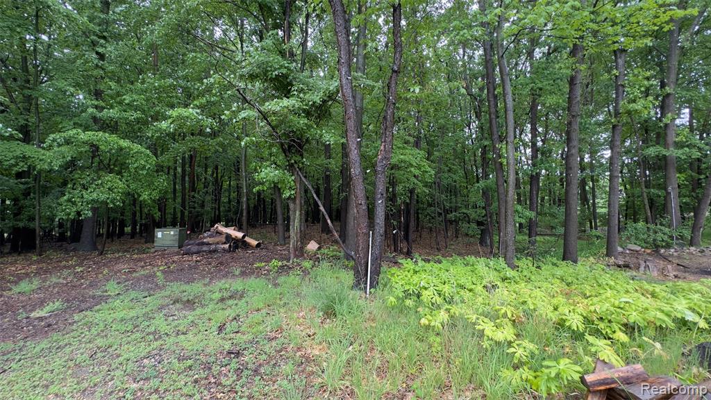 2608 E Sutton Road, Metamora, MI 48455 — Photo 53