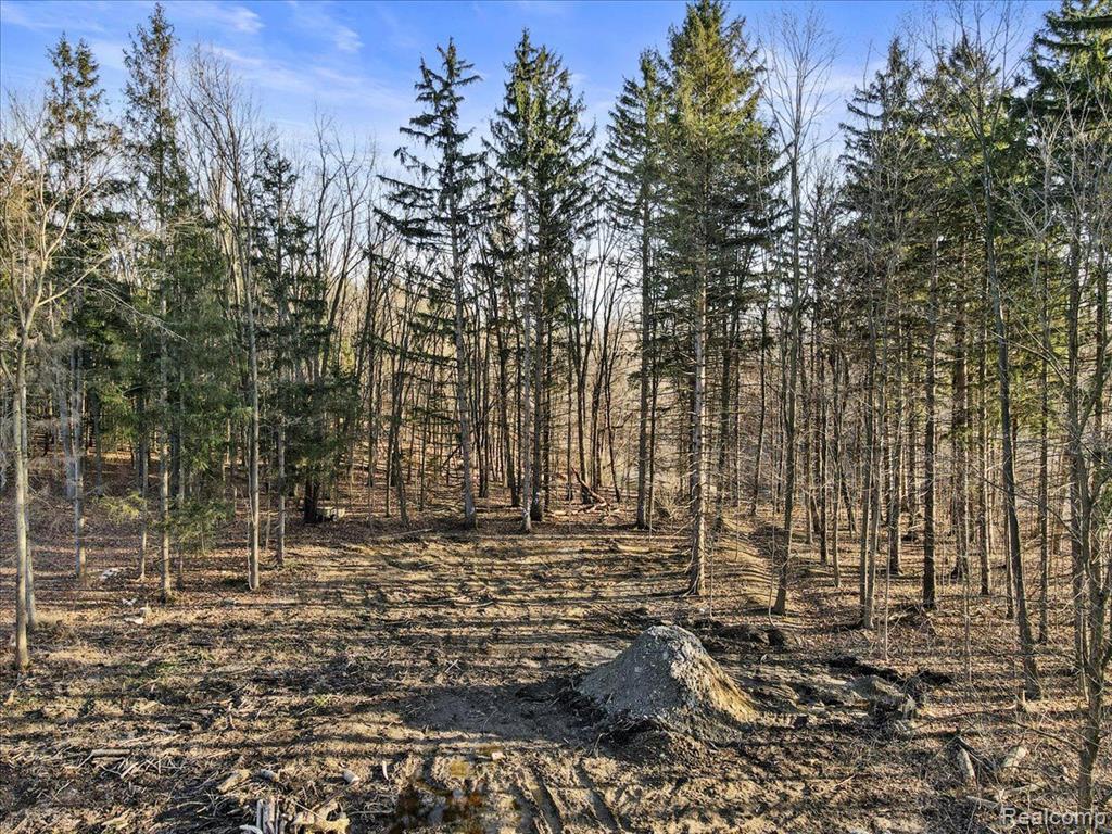 2995 Secluded Pines, Oxford, MI 48371 — Photo 6
