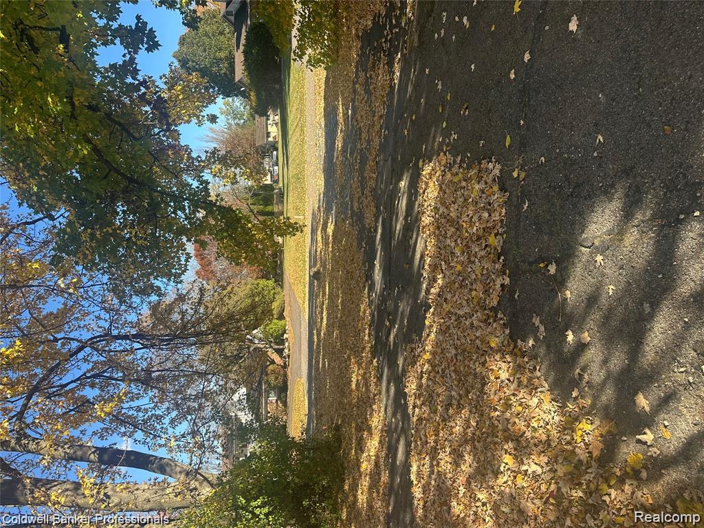 29585 Woodhaven Lane - Photo 3