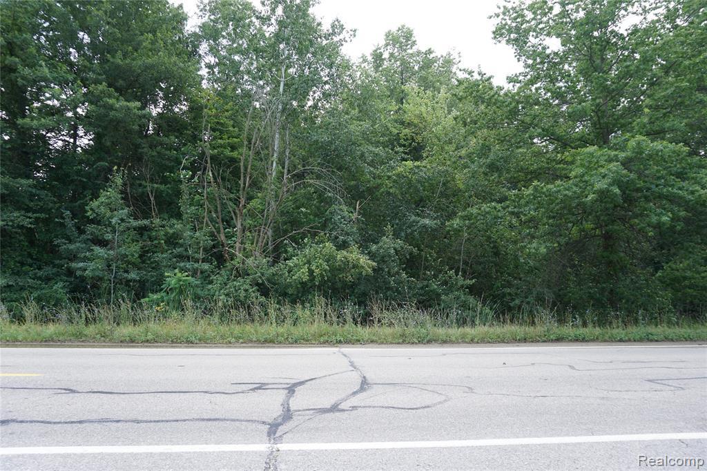 Vacant Willow Road, New Boston, MI 48164 — front exterior