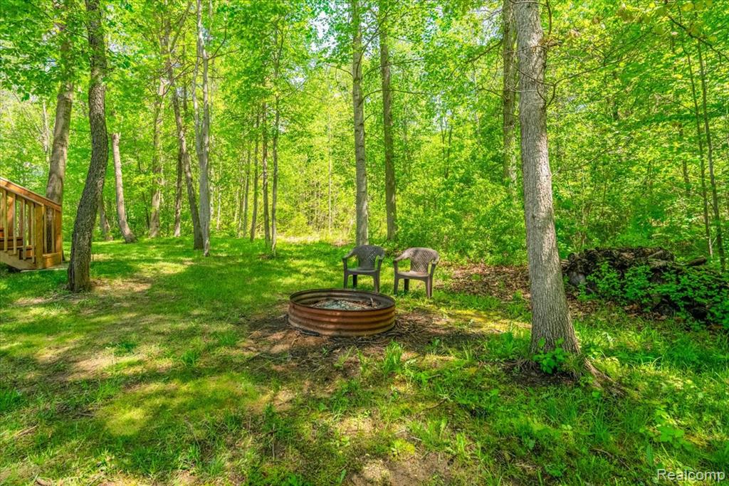 11541 McFall Drive, Willis, MI 48191 — Photo 44