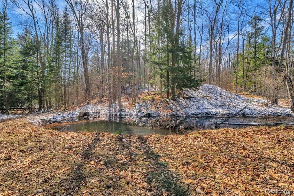 5300 E Alcona Road, Harrisville, MI 48740 — Photo 49
