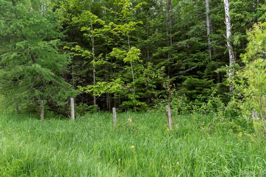 18031 State Highway M28, Newberry, MI 49868 — Photo 53