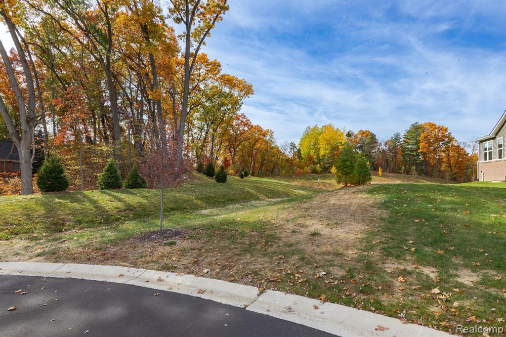 4397 SILICA Drive, Lake Orion, MI — Photo 43