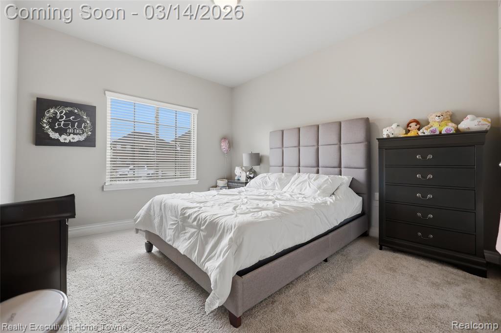 24655 Brookshire Drive, Macomb, MI 48042 — Photo 19
