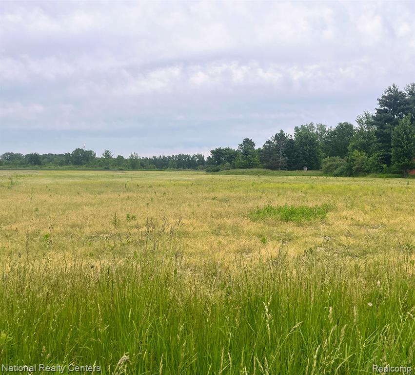 PARCEL H SHARRARD Road, Allenton, MI 48002 — Photo 2