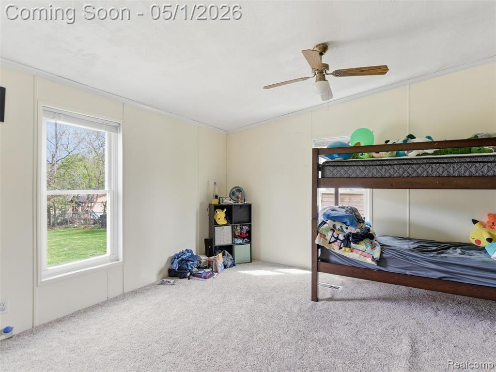 616 N Blacks Corners Road, Imlay City, MI 48444 — Photo 23