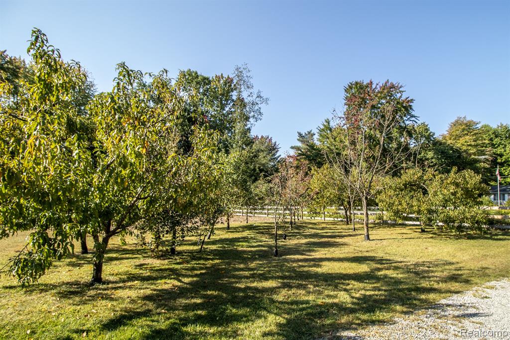 12595 N Budd Road, Burt, MI 48417 — Photo 49