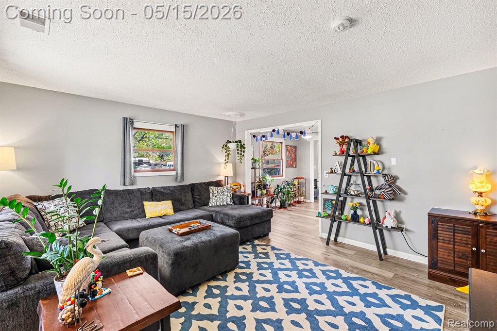 401 Lakeview Street, Holly, MI 48442 — Photo 5