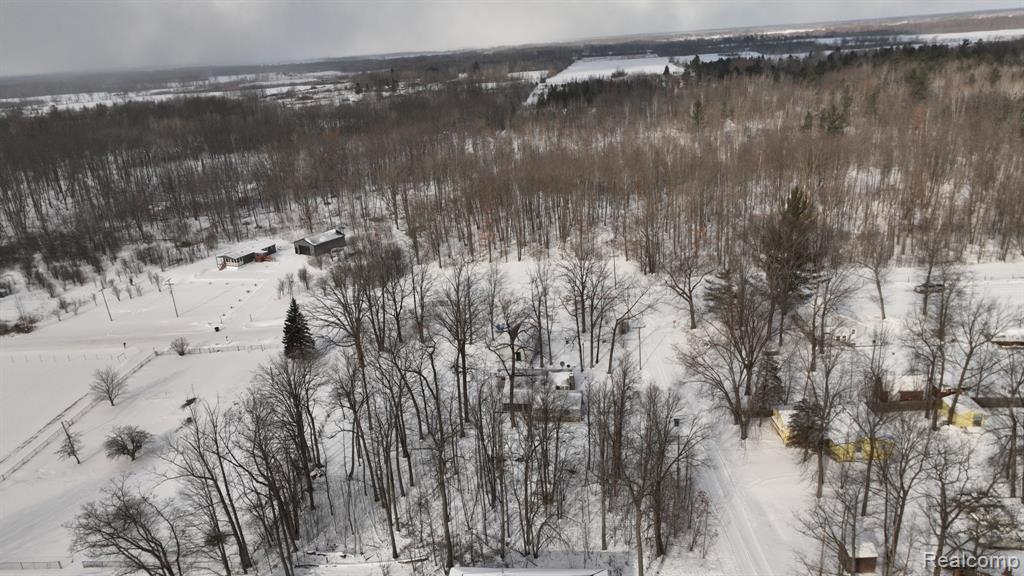 4260 S Lake Drive, Prescott, MI 48756 — Photo 49