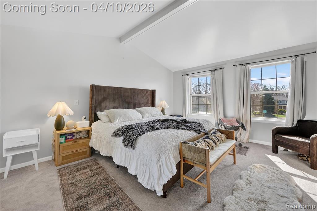 255 Round Tree Drive, Lake Orion, MI — Photo 21