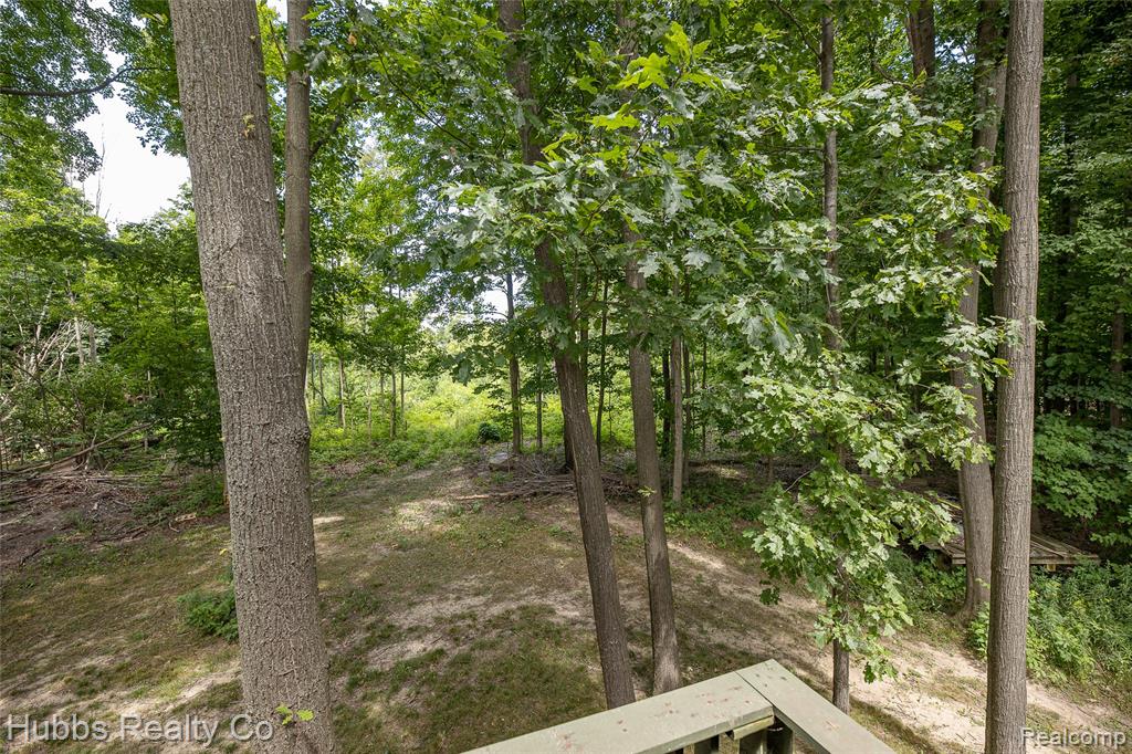 4251 E Frances Road, Mount Morris, MI 48458 — Photo 29
