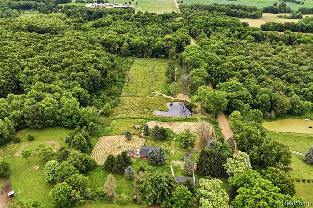 8573 W Lovejoy Road, Byron, MI 48418 — Photo 36