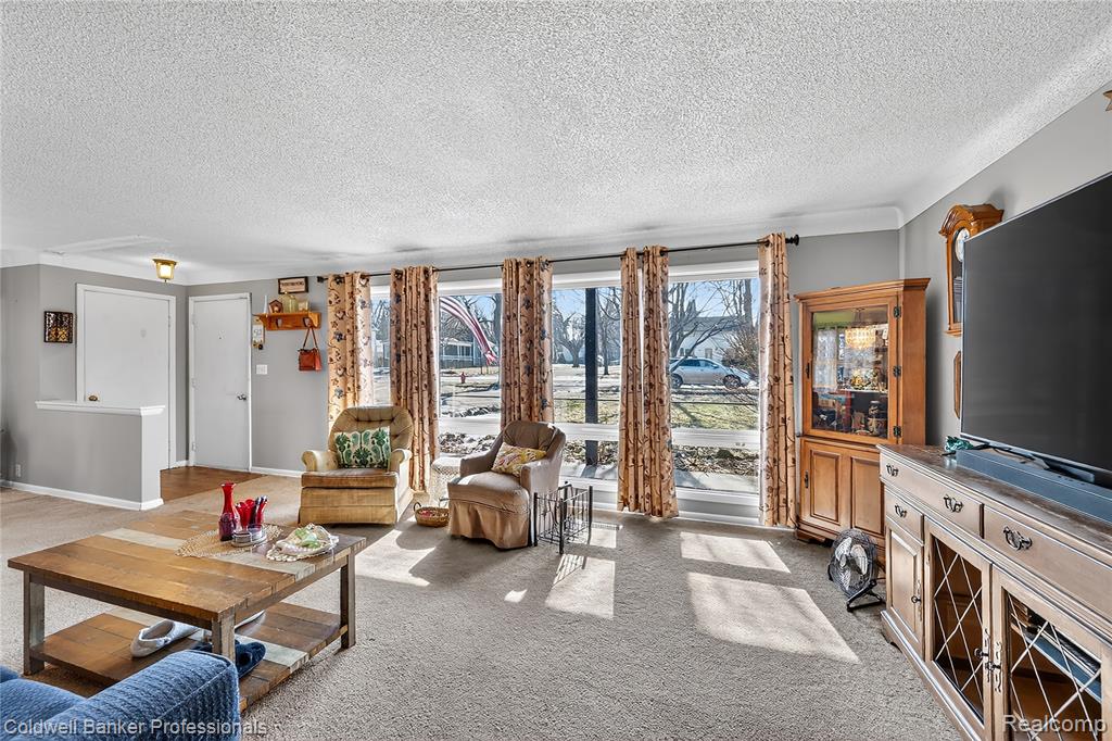 132 W Main Street, Mayville Vlg, MI 48744 — Photo 10