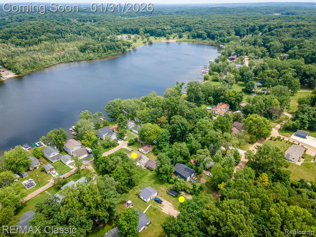 14049 Edgewater Drive, Gregory, MI 48137 — Photo 2