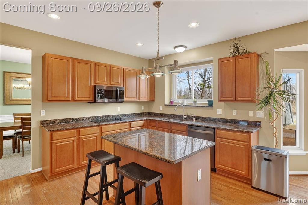 454 E Canford Park, Canton, MI 48187 — Photo 10