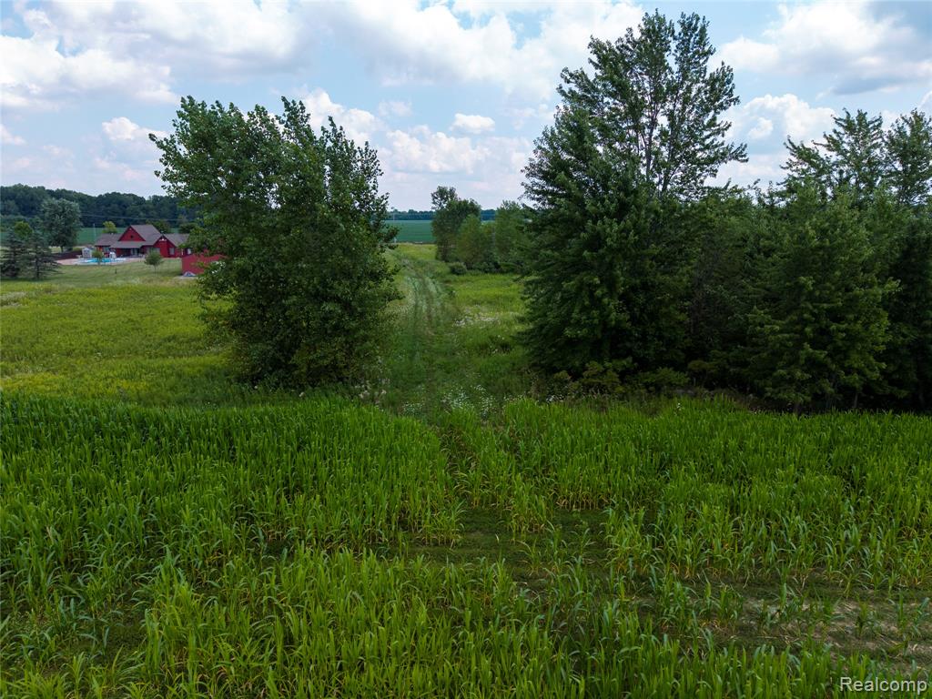 VL Sharp Road, Swartz Creek, MI 48473 — Photo 26