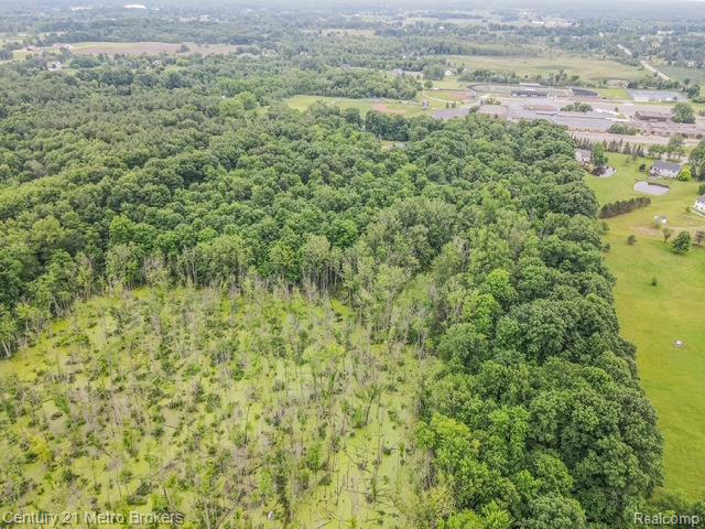 9119 Hegel Road, Goodrich Vlg, MI — Photo 52