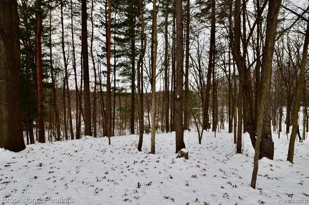 5365 Jacobs Drive, Holly, MI 48442 — Photo 10