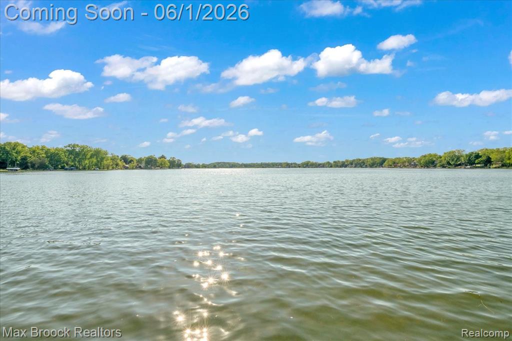 8860 Rushside Drive, Pinckney, MI 48169 — Photo 34