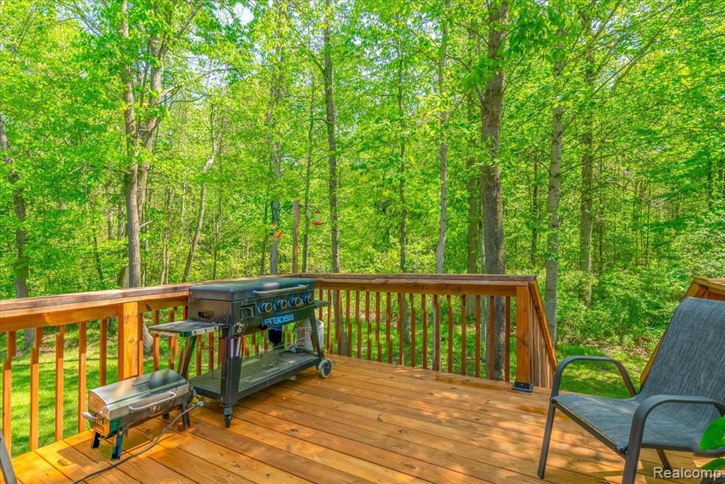 11541 McFall Drive, Willis, MI 48191 — Photo 17