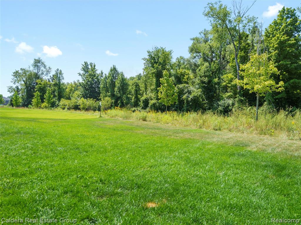4132 Walcott Drive, Lake Orion, MI — Photo 59