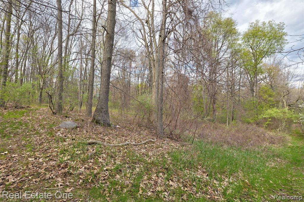590 Judi Ann Lane, Holly, MI 48442 — Photo 30
