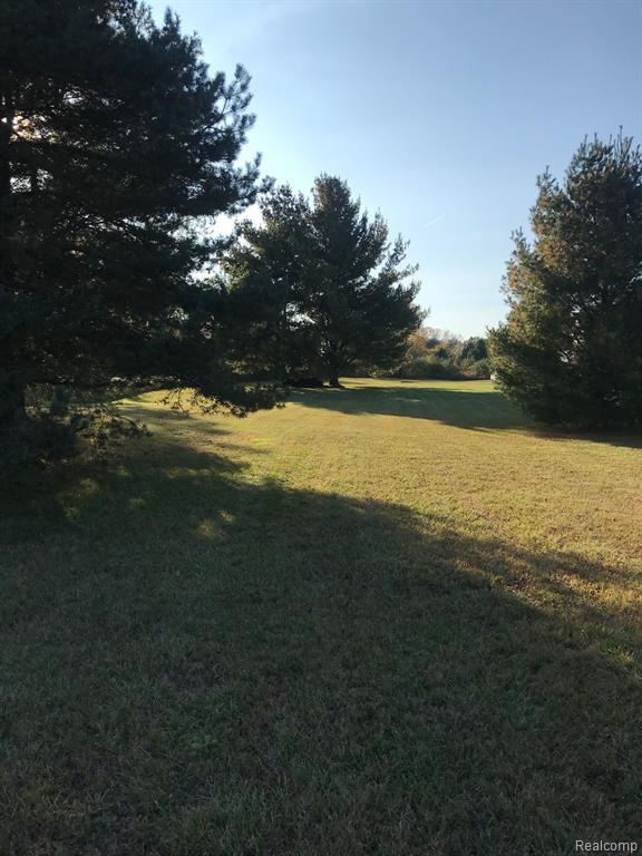 7511 State Road, Burtchville, MI 48059 — Photo 41