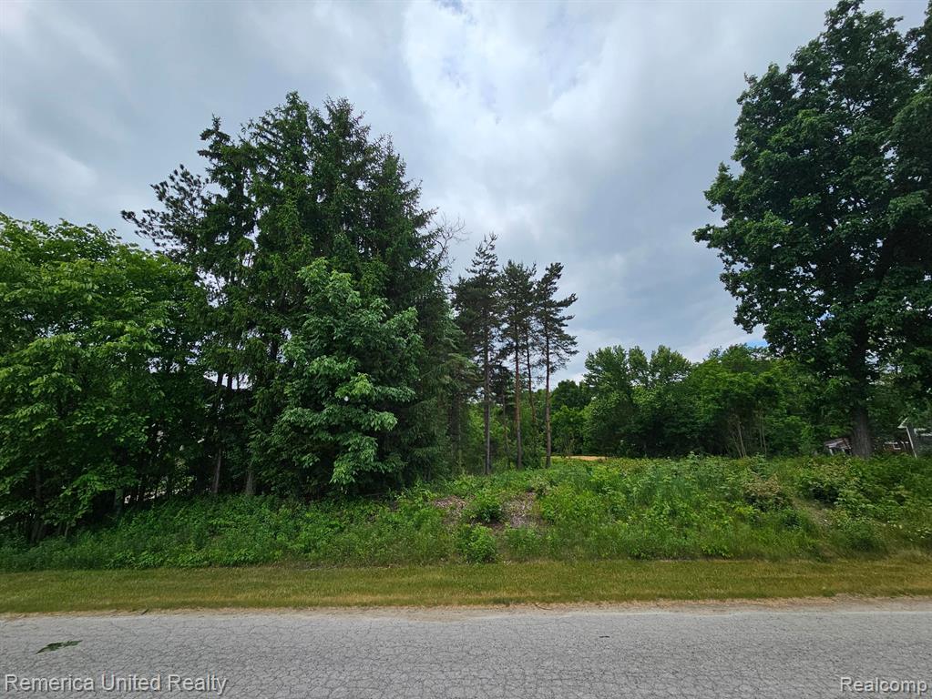 10512 OAK FOREST Drive, South Lyon, MI 48178