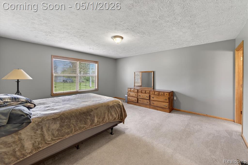 9074 Hamburg Road, Brighton, MI 48116 — Photo 15