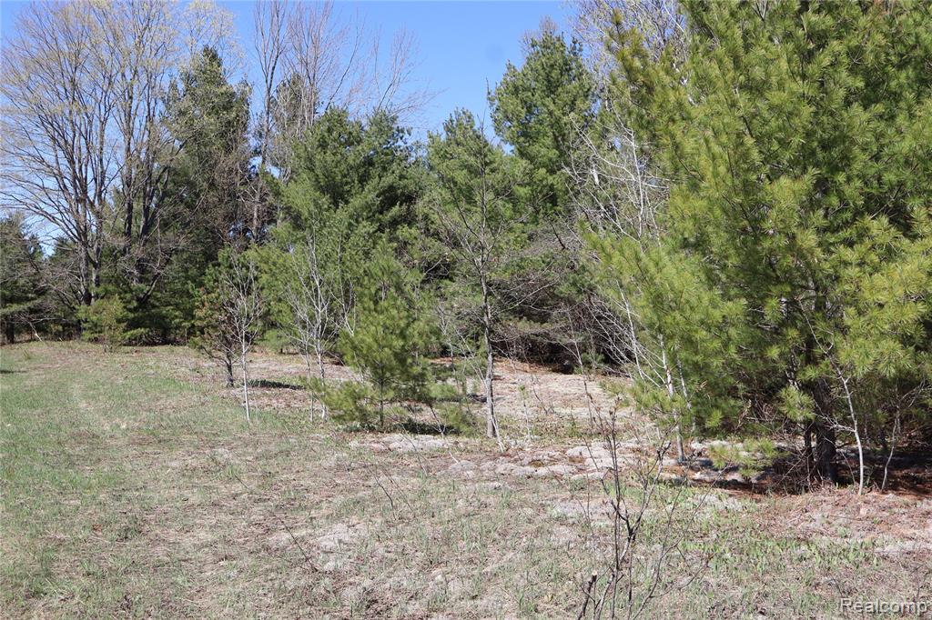 5575 E 26 Mile Road, Pickford, MI 49774 — Photo 11