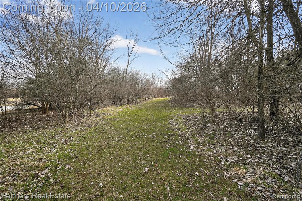 10863 Judd Road, Fowlerville, MI 48836 — Photo 52