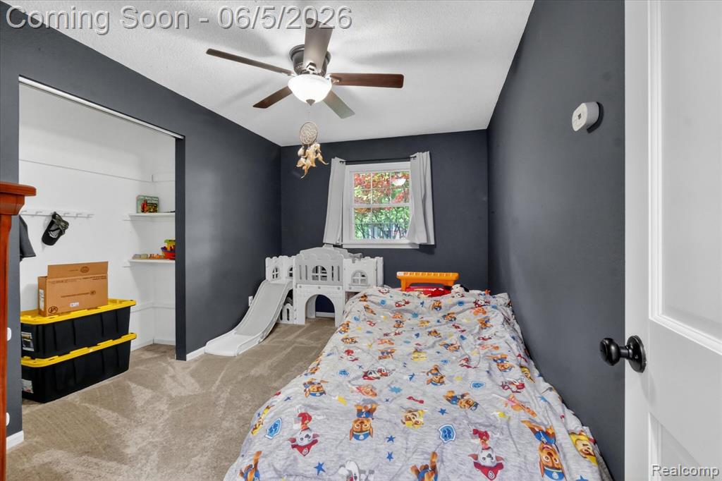 2083 Wells Road, Dundee, MI 48131 — Photo 23
