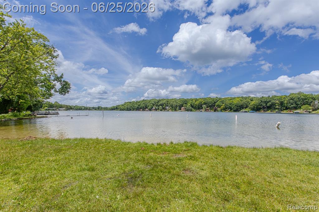 4741 Meadowbrook Avenue, Clarkston, MI 48348 — Photo 55
