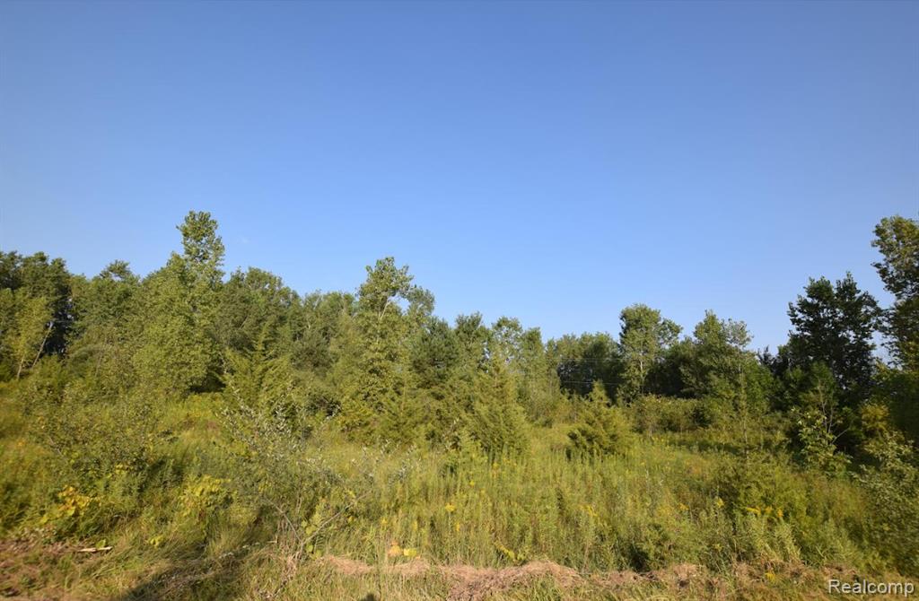 8504 DUFFIELD Road, Flushing, MI 48433 — front exterior