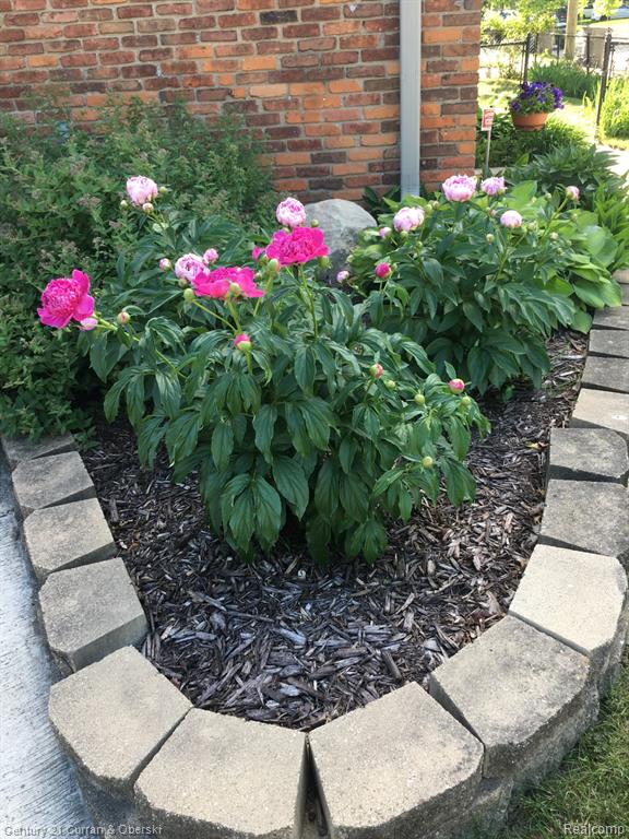900 Meridan Street, Dearborn, MI 48124 — Photo 5