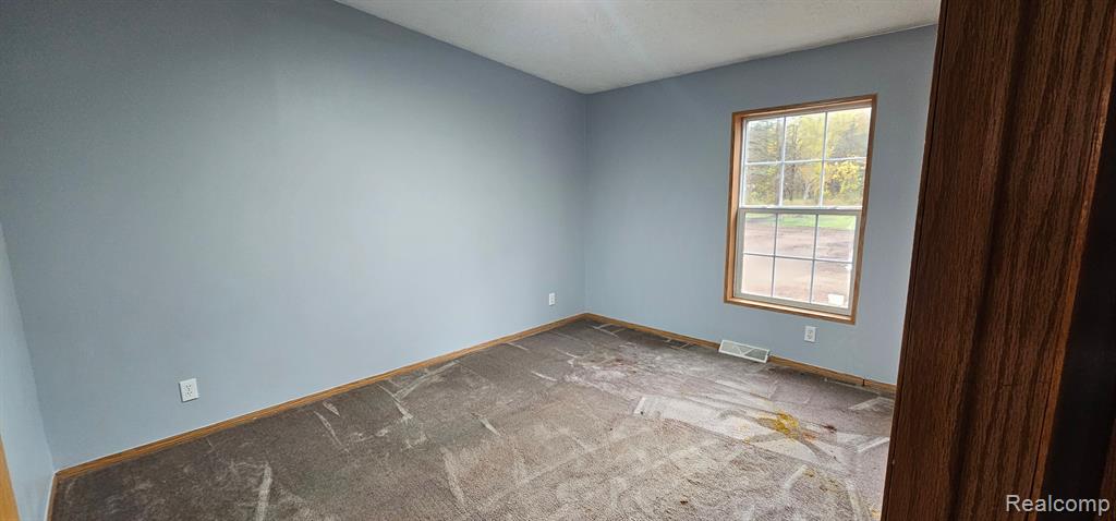 4393 Lake George Road, Dryden, MI 48428 — Photo 15