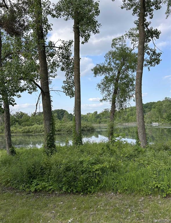 VL Cory Drive, Delton, MI 49046 — Photo 10