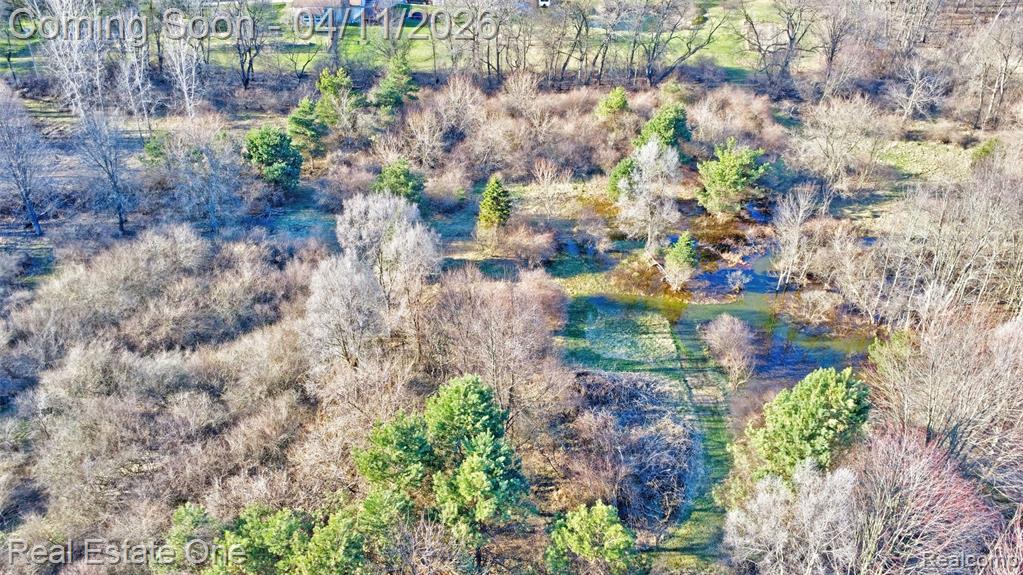 6400 Oak Hill Road, Ortonville, MI 48462 — Photo 50
