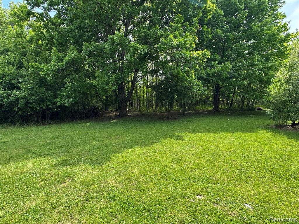 6161 River Road, Flushing, MI 48433 — Photo 22