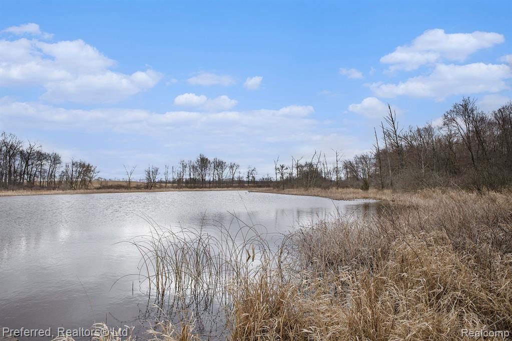 2451 HOG CREEK Road, Allen, MI 49227 — Photo 28