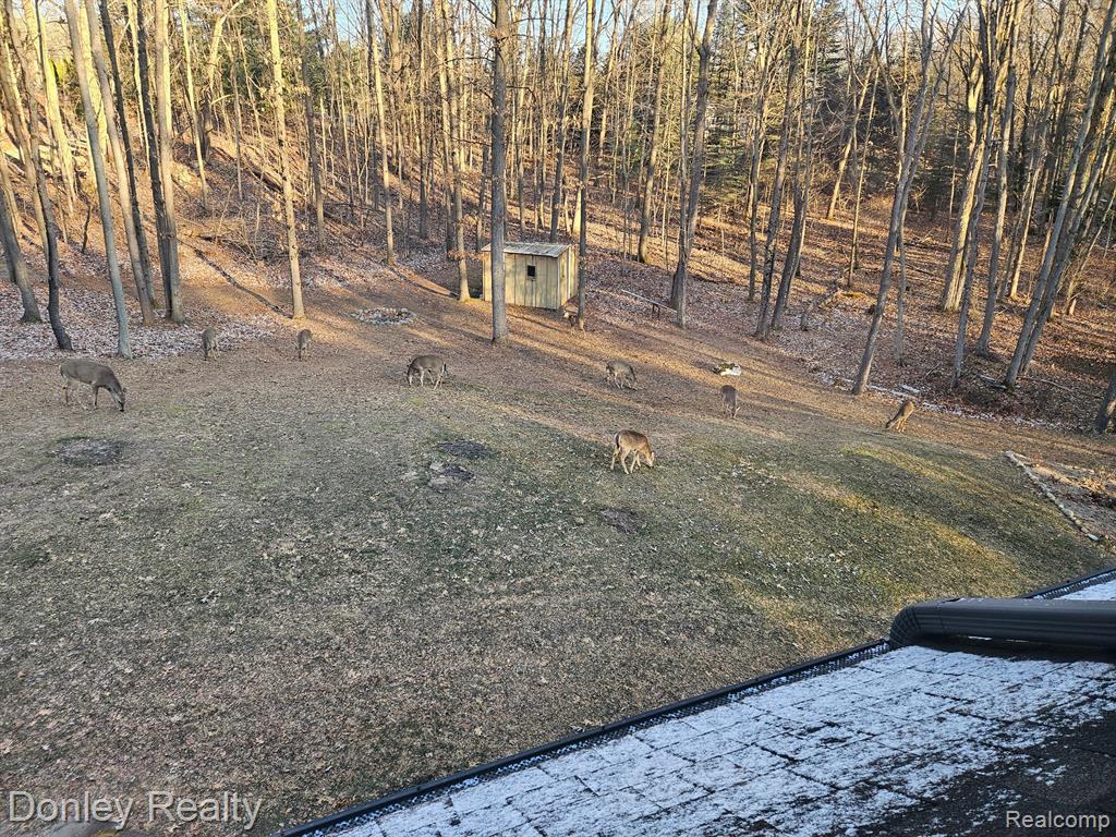 3239 HILLVIEW Drive, Metamora, MI 48455 — Photo 35