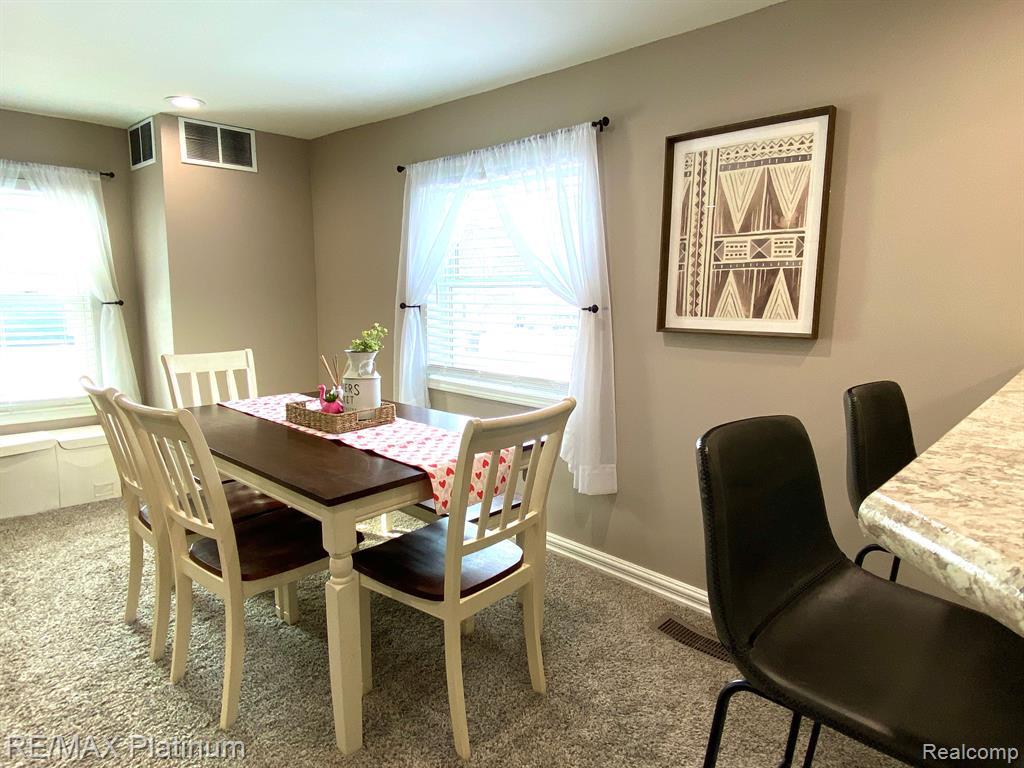 505 E FRANK Street, Fowlerville, MI 48836 — Photo 8