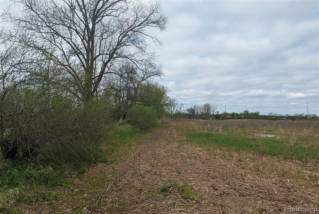 Parcel E Hogan Road, Linden, MI 48451 — Photo 7