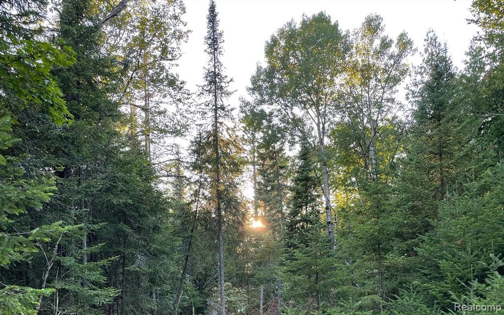 VL Grand Island, Presque Isle, MI 49777 — Photo 4
