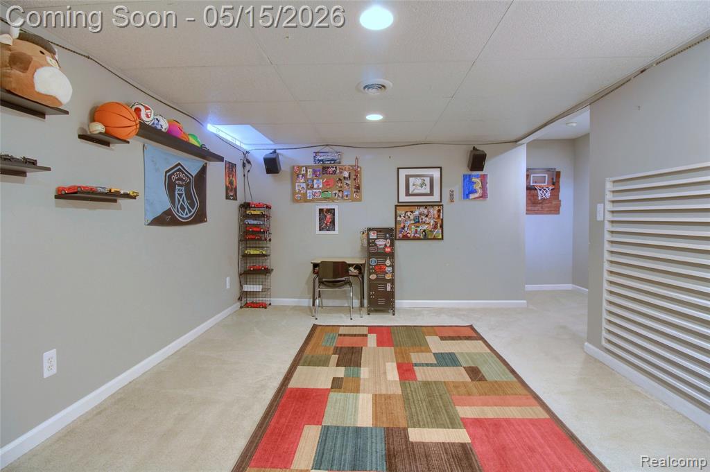 28260 Cottage Lane, New Hudson, MI 48165 — Photo 27