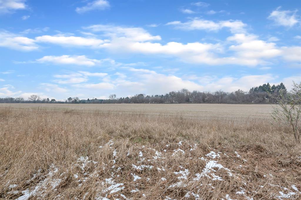 6133 LOCHMORE Drive, Commerce Twp, MI 48382 — Photo 43