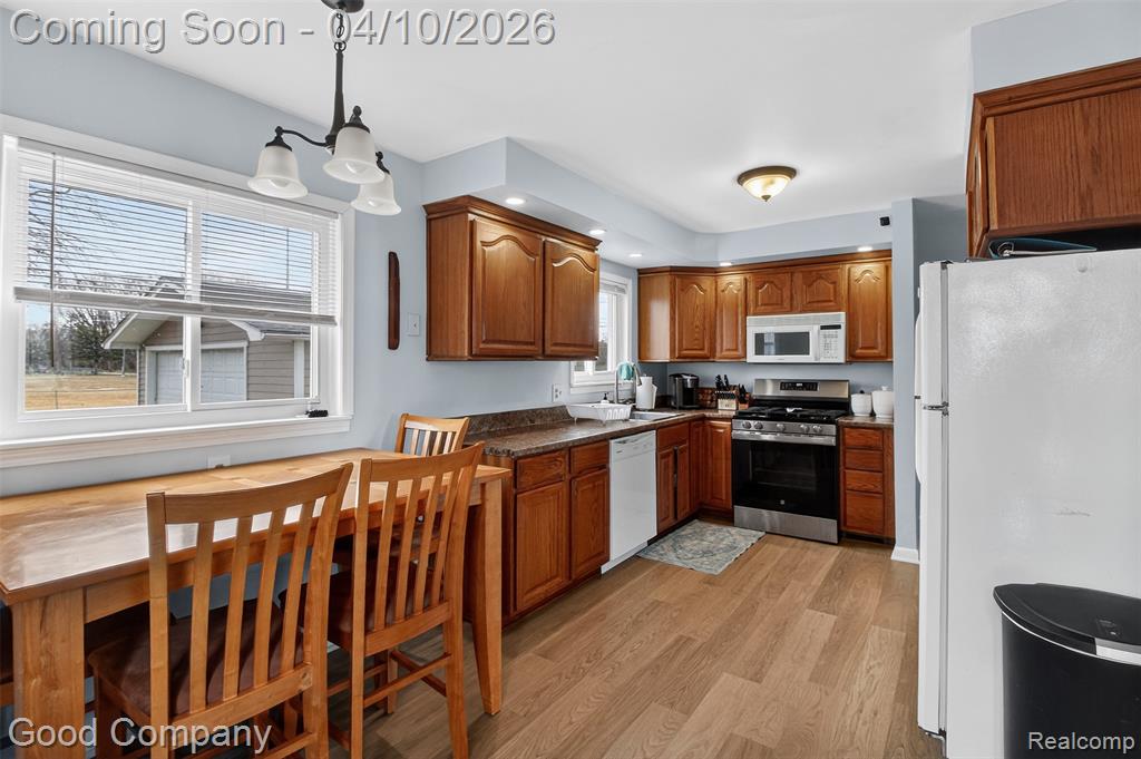 41036 Paign Drive, Sterling Heights, MI 48313 — Photo 10